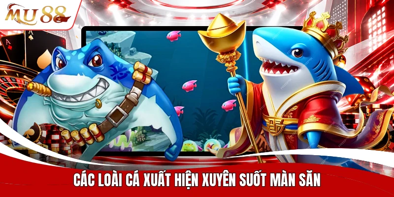Các loài cá xuất hiện xuyên suốt màn săn