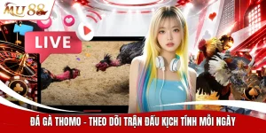 Đá gà thomo