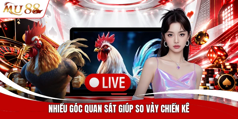Nhiều góc quan sát giúp so vảy chiến kê