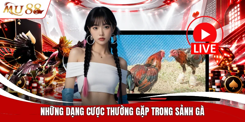 Những dạng cược thường gặp trong sảnh gà
